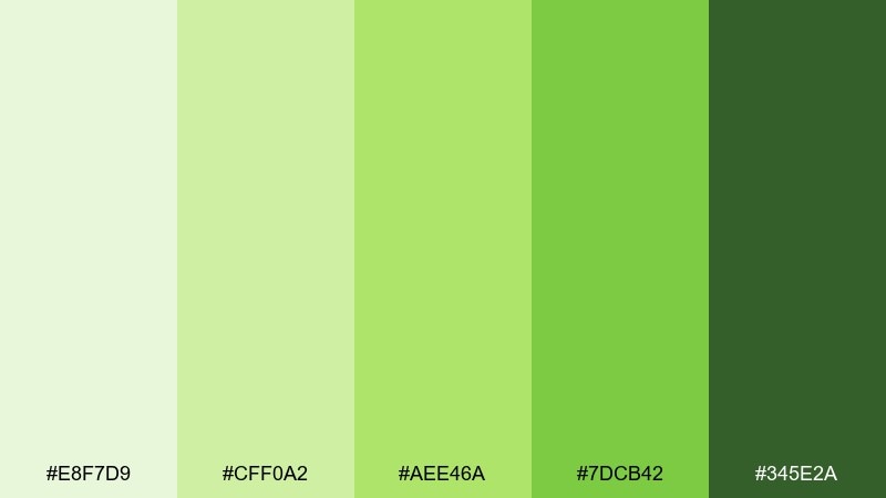 citrus grove pale green color palette with hex codes