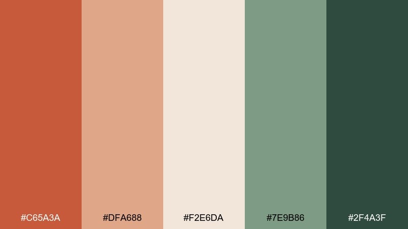 clay and sage terra cotta color palette with hex codes