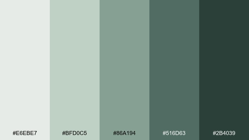 clouded spruce tundra color palette with hex codes