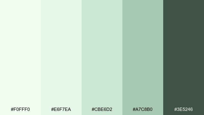 cloudy pistachio honeydew color palette with hex codes
