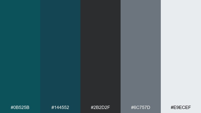 coastal charcoal color palette with hex codes