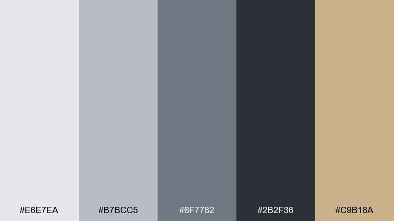 concrete and chrome studio color palette with hex codes