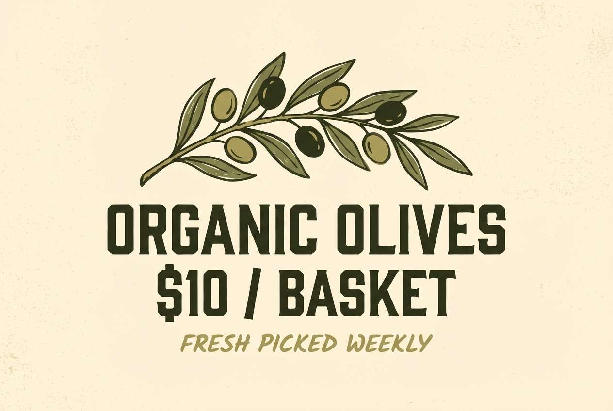 olive market sign