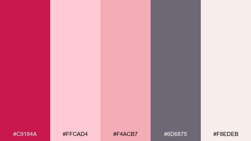 dark pink finale vintage circus color palette with hex codes