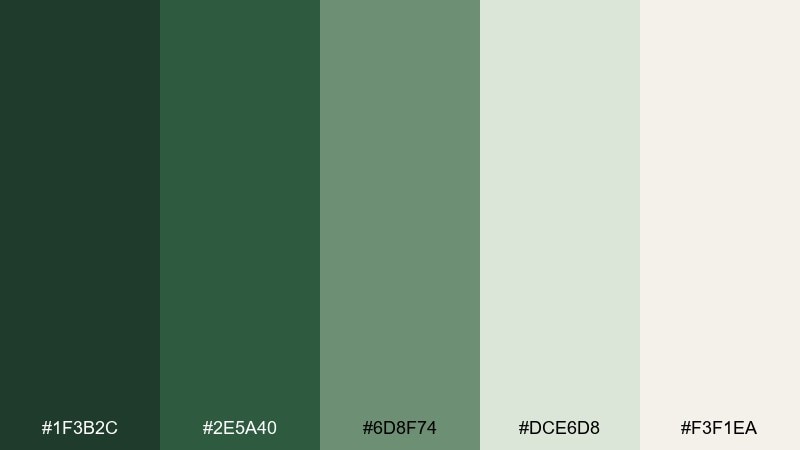 deep forest stillness meditation color palette with hex codes