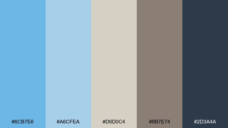 denim & driftwood color palette with hex codes