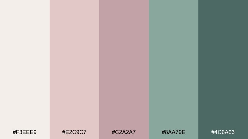 desert rosette succulent color palette with hex codes