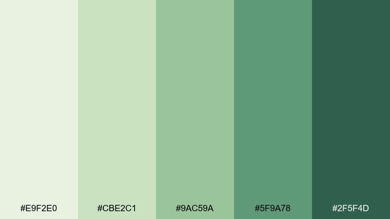 dewy fern tea green color palette with hex codes