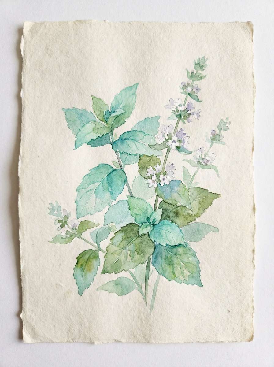 mint botanical watercolor