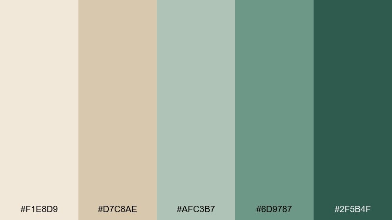 eucalyptus oat color palette with hex codes