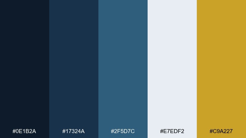 executive navy formal color palette with hex codes