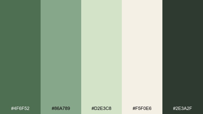 fern breath meditation color palette with hex codes