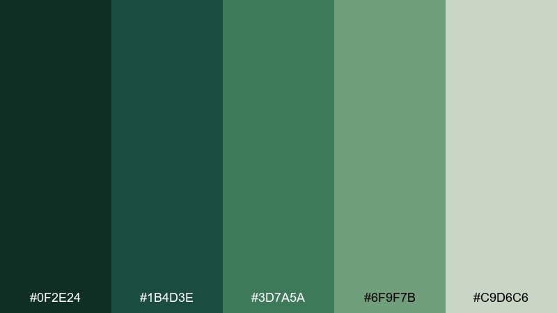 fern shadow rainforest color palette with hex codes