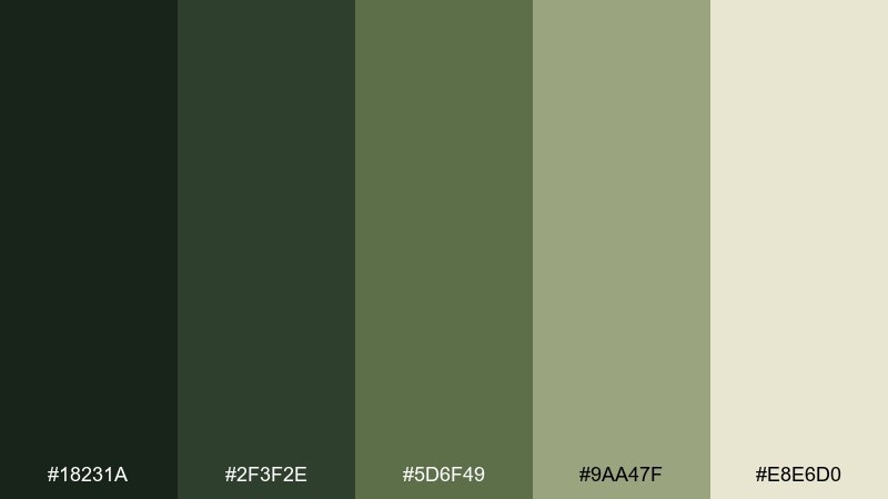 forest courtyard castle color palette with hex codes