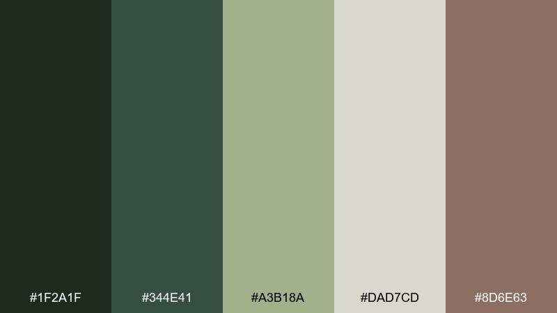 forest desk studio color palette with hex codes