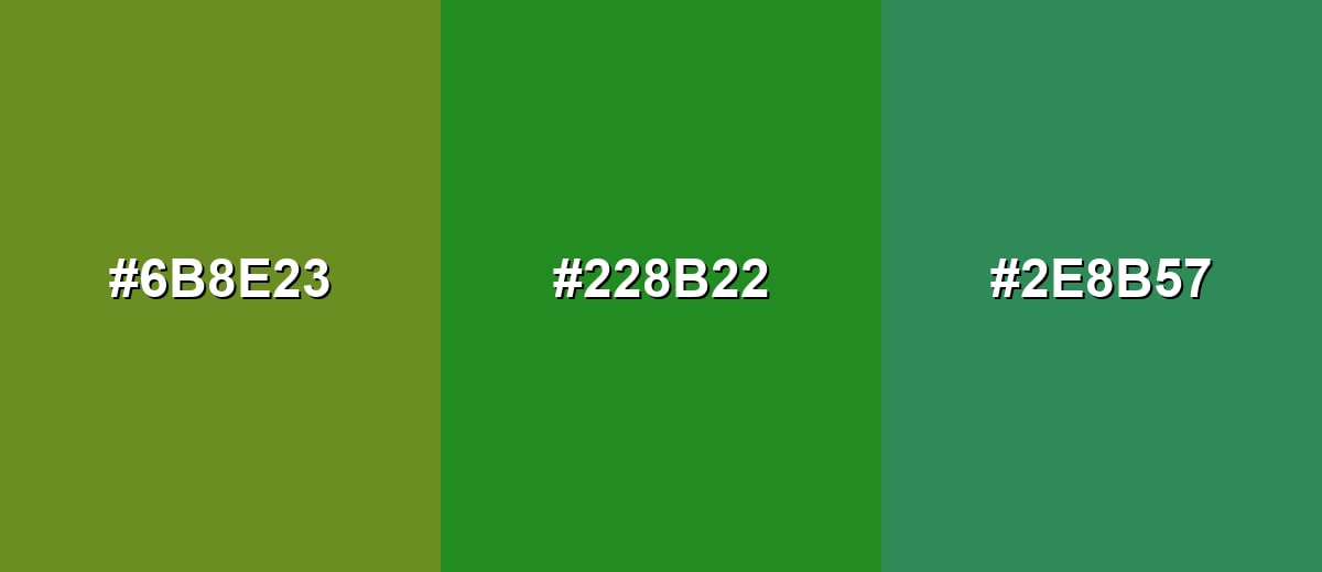 analogous color for forest-green-color
