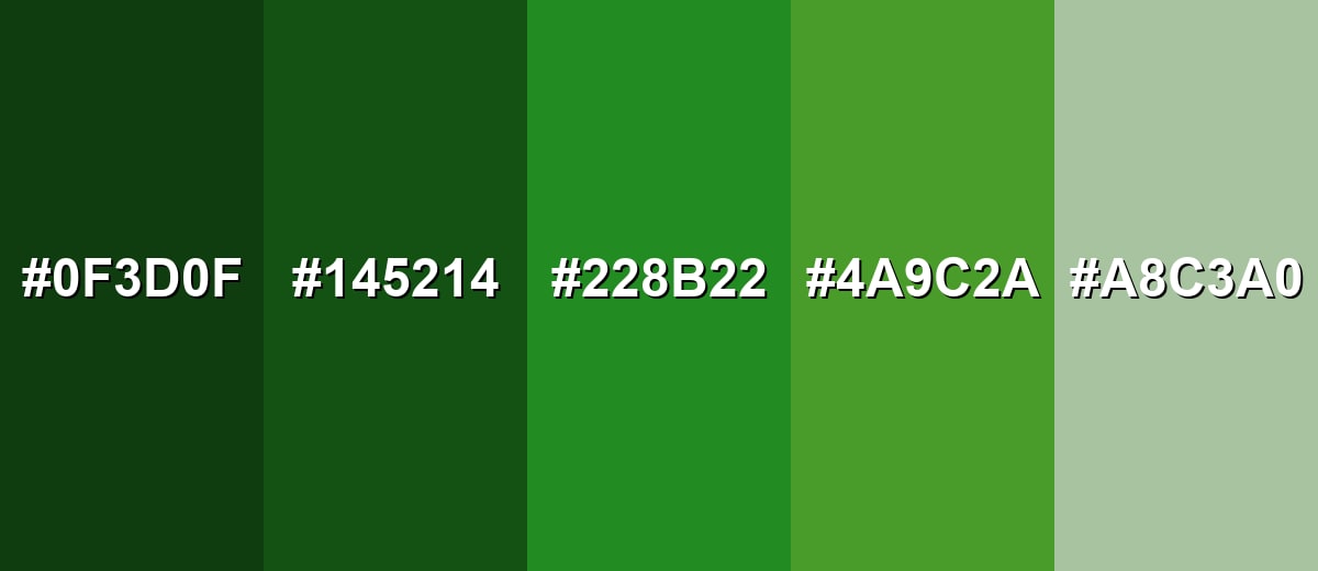 shades and variations of forest-green-color