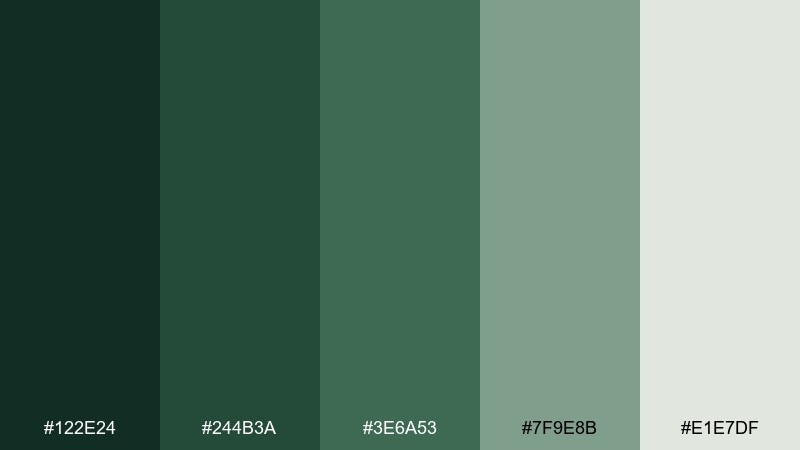 forest receipt dollar bill color palette with hex codes
