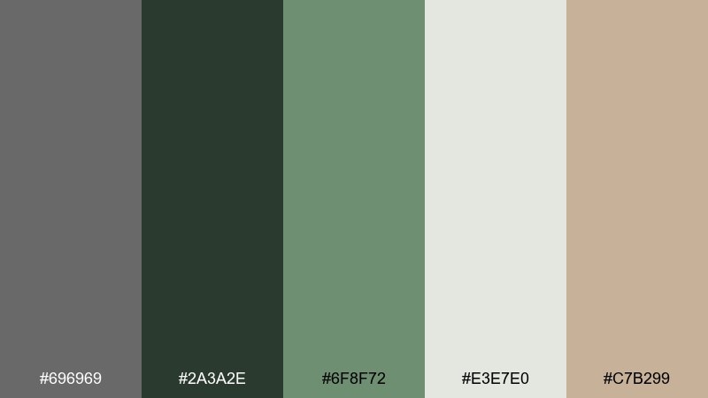 forest slate dim gray color palette with hex codes