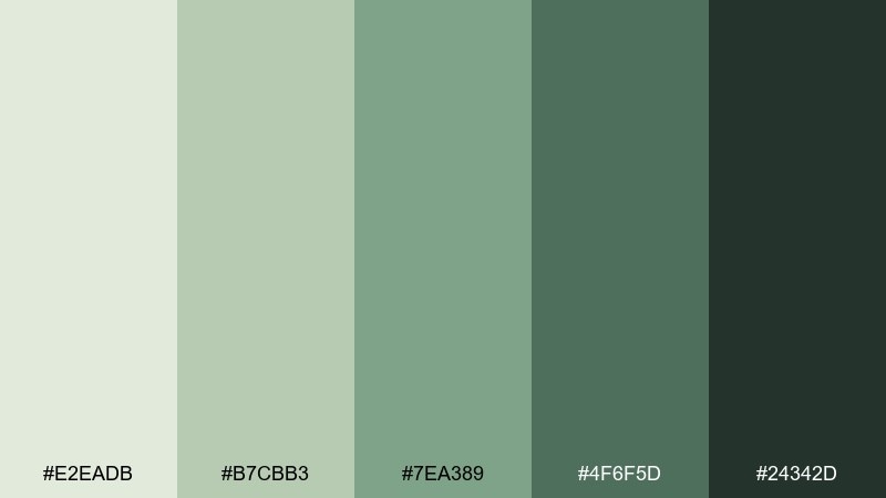 forest teacup tea green color palette with hex codes
