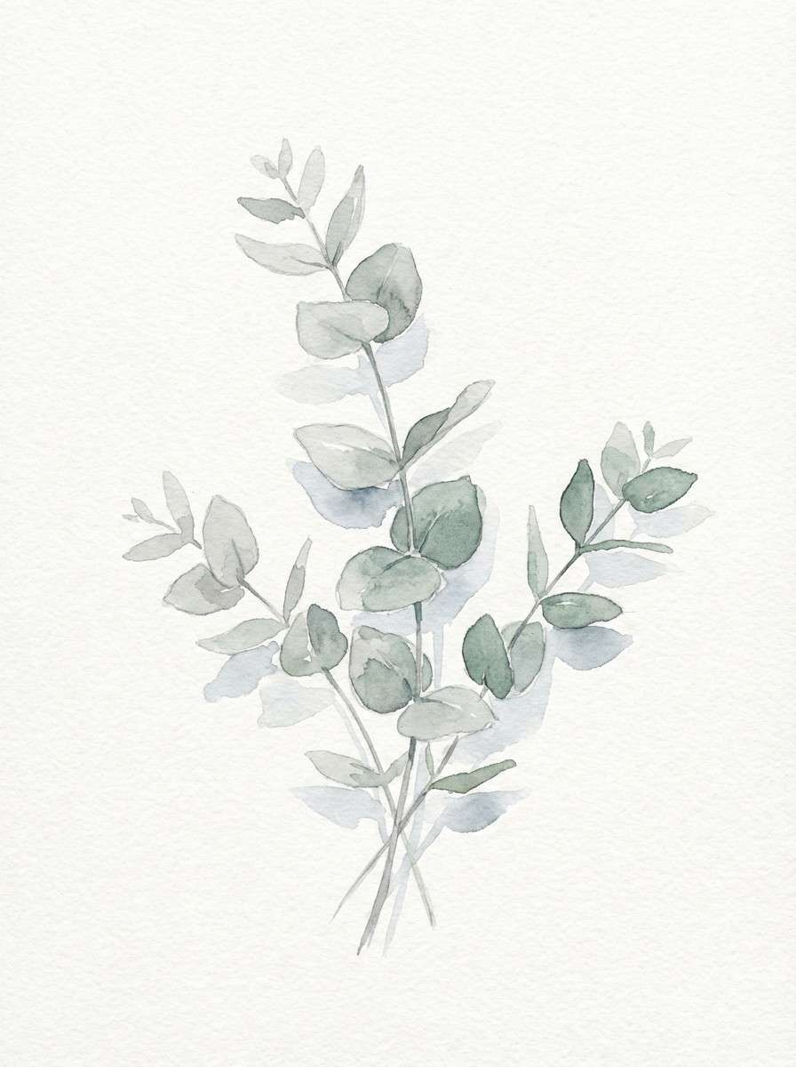 watercolor eucalyptus branches