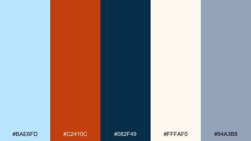 ice blue and burnt orange complementary color scheme with hex codes