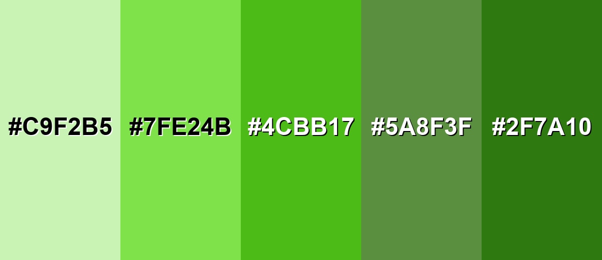 shades and variations of kelly-green