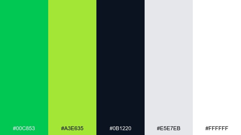 lime zest fitness ui color palette with hex codes