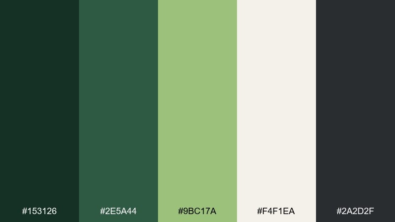 matcha and charcoal color palette with hex codes