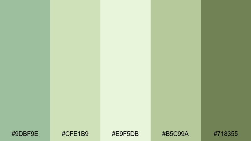 matcha latte color palette with hex codes