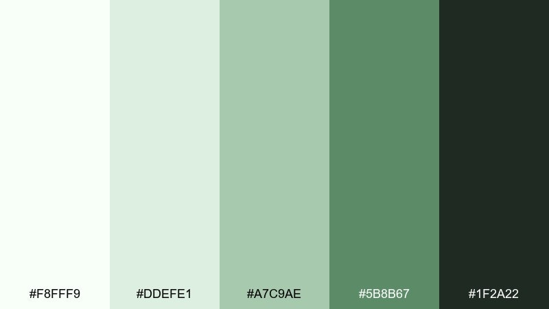 matcha minimal fresh color palette with hex codes