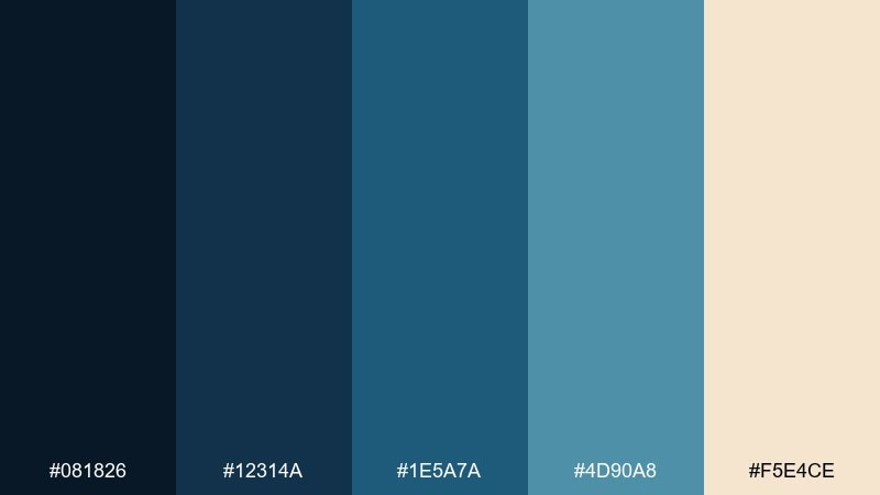 midnight denim poster denim color palette with hex codes