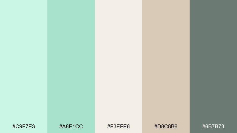 mint latte neutrals mint green color palette with hex codes