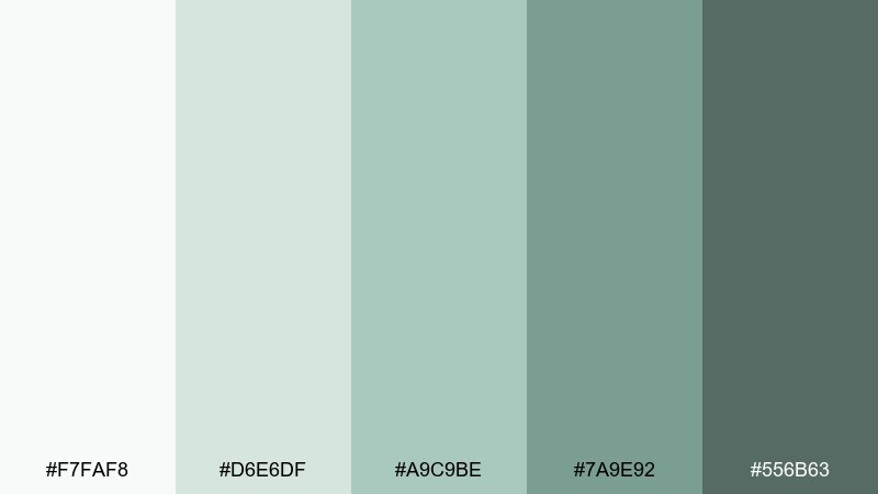 mint pebble succulent color palette with hex codes