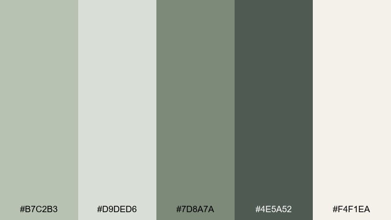misty sage studio color palette with hex codes