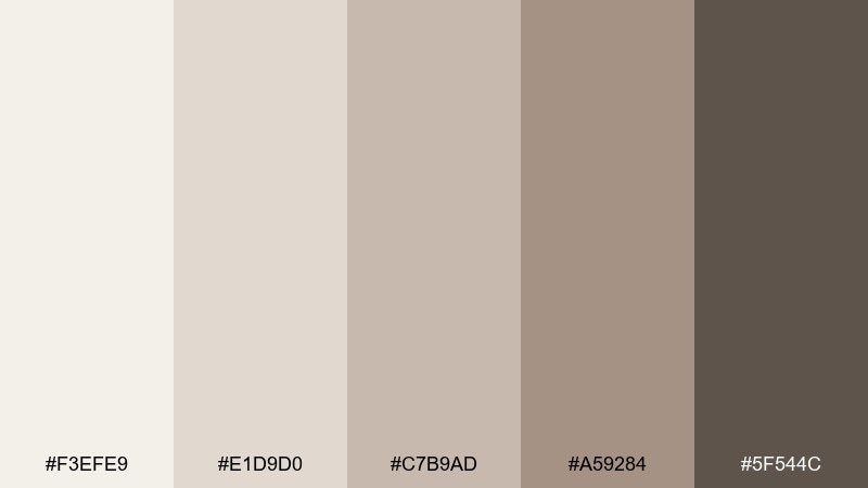 misty taupe office pale brown color palette with hex codes