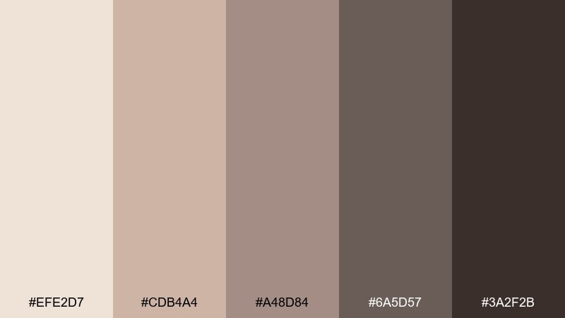 mocha mist color palette with hex codes