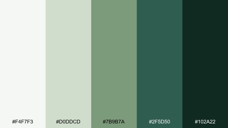modern moss office color palette with hex codes