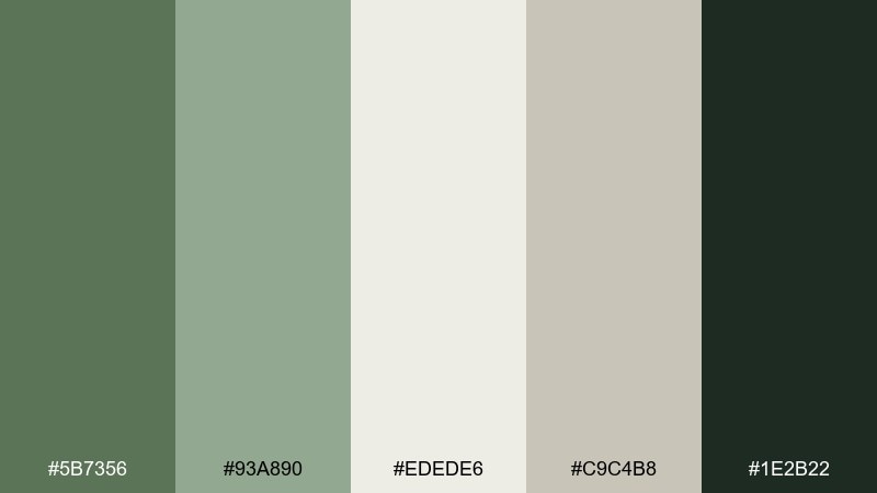 modern sage office color palette with hex codes