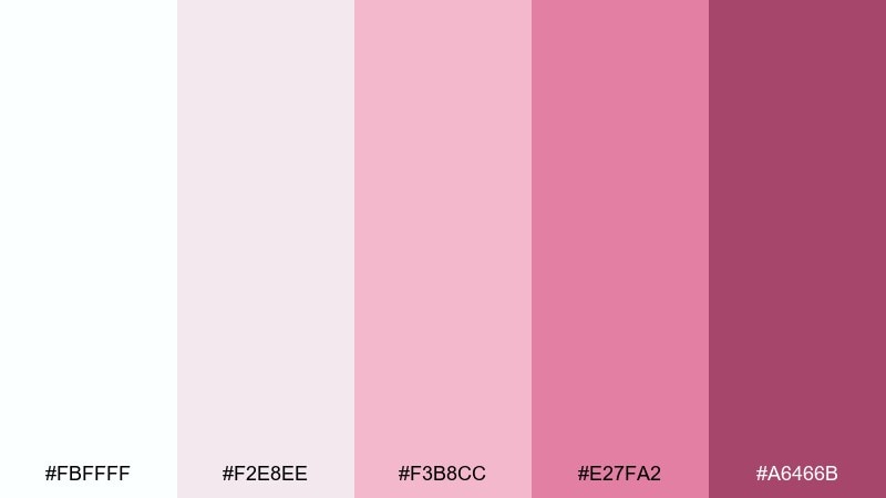 modern spa blush color palette with hex codes