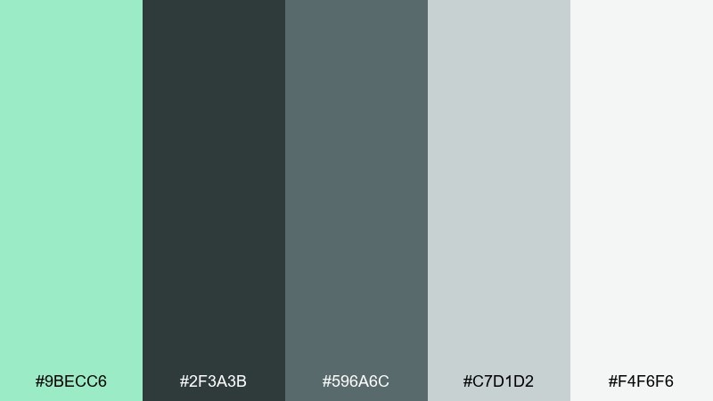 moody mint & charcoal color palette with hex codes