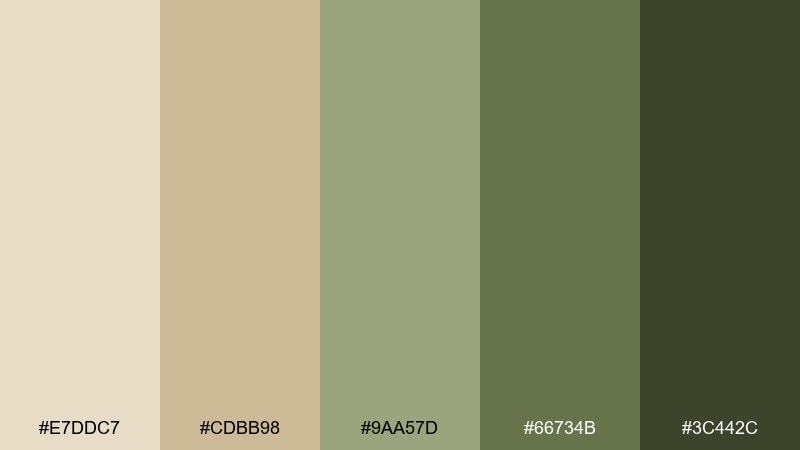mossy canvas color palette with hex codes