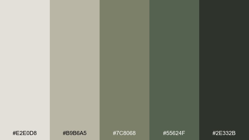 mossy stone earthy color palette with hex codes