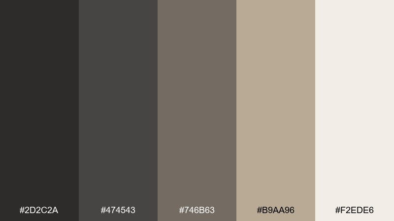 museum taupe dark gray color palette with hex codes