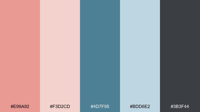 muted salmon stonewash blue salmon color palette with hex codes