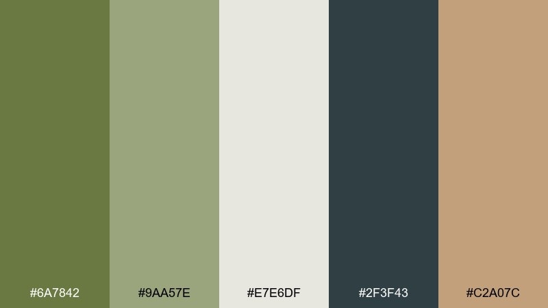 muted sportswear olivine color palette with hex codes