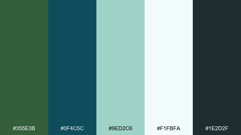 ocean spruce color palette with hex codes