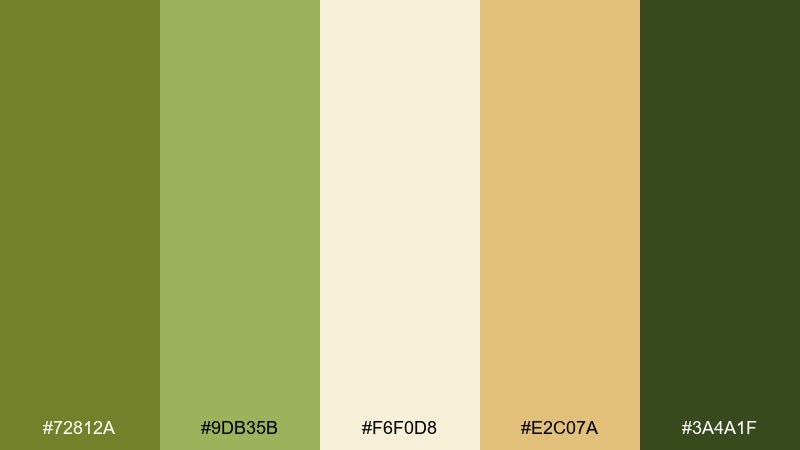 olive orchard olive green color combination with hex codes