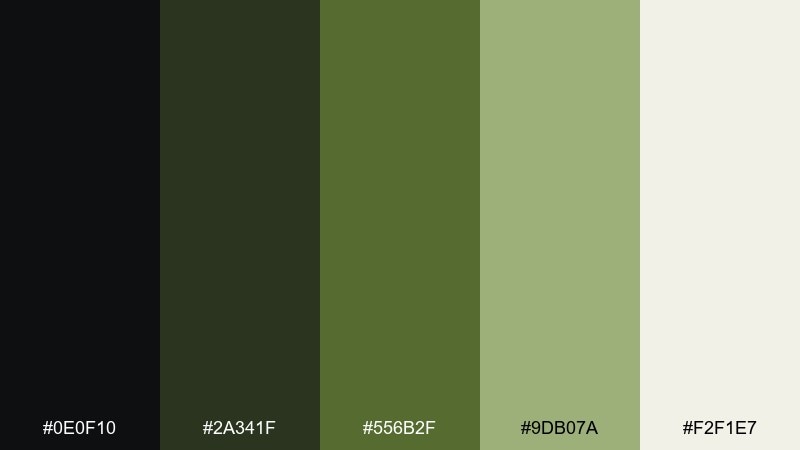 olive studio color palette with hex codes