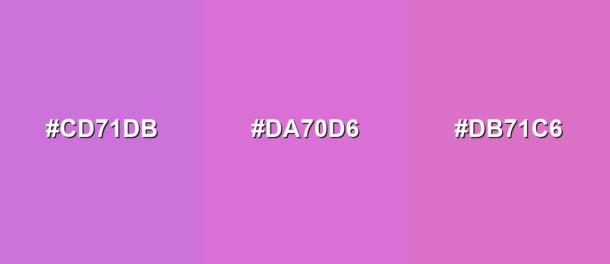 analogous color for orchid-color